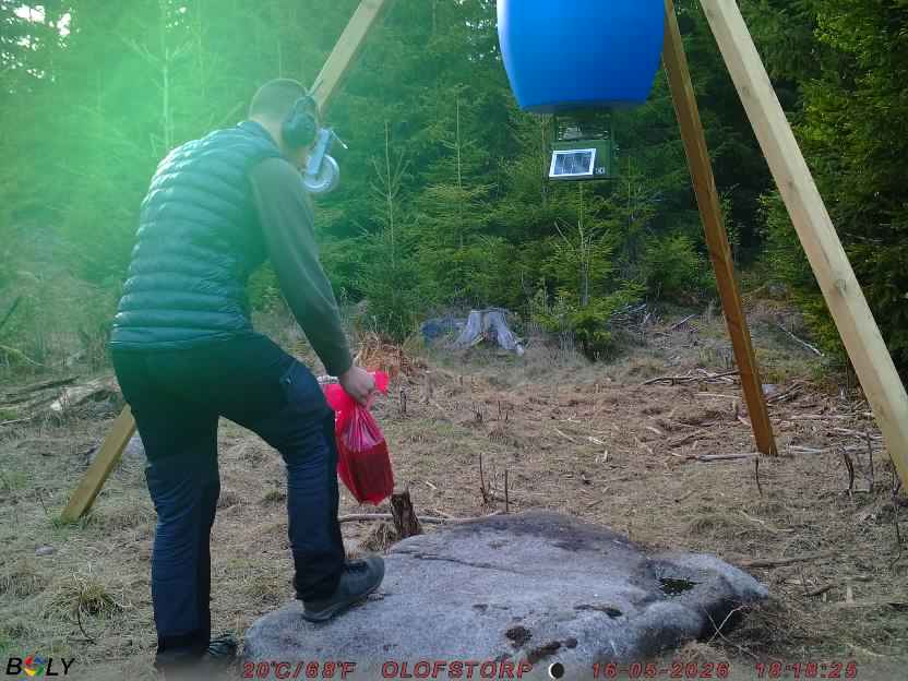 Bild från STORATRÄA