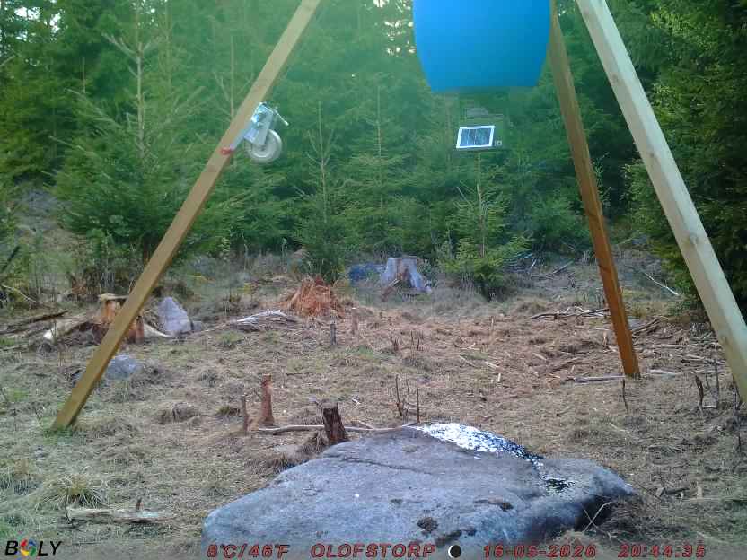 Bild från STORATRÄA