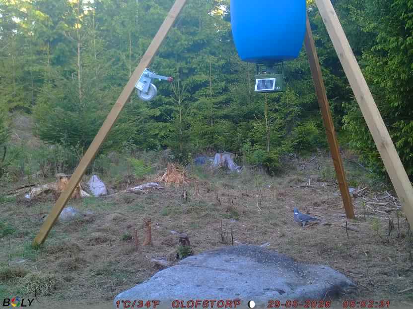 Bild från OLOFSTORP
