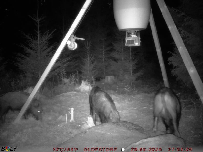 Bild från OLOFSTORP