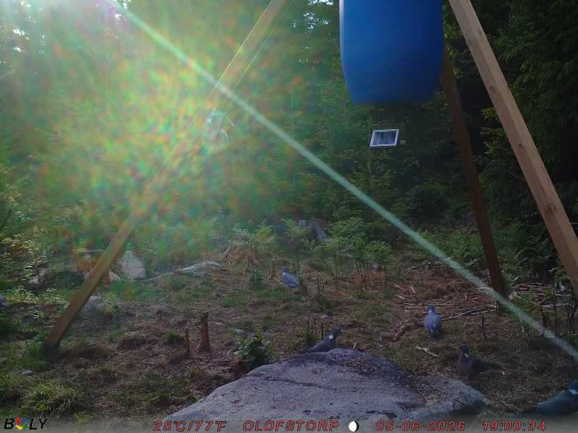 Bild från OLOFSTORP