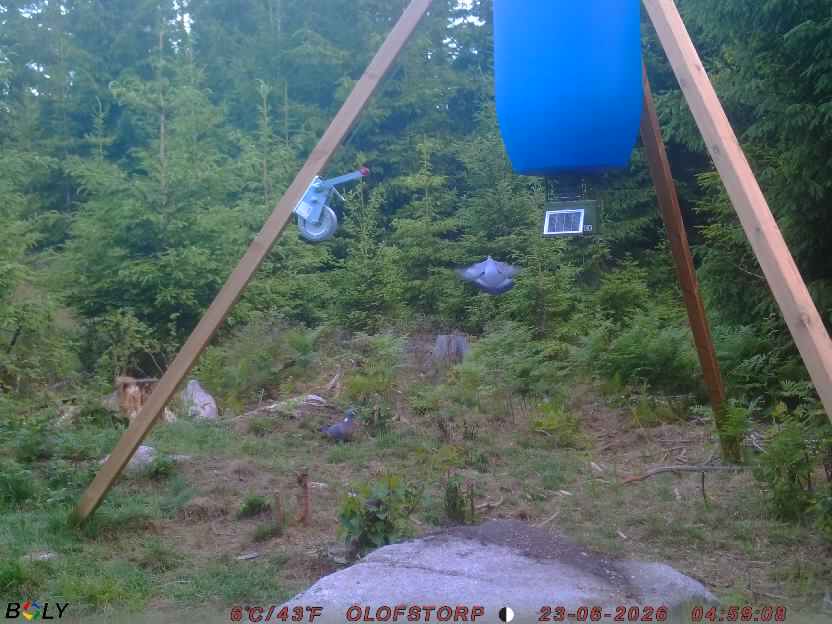 Bild från OLOFSTORP