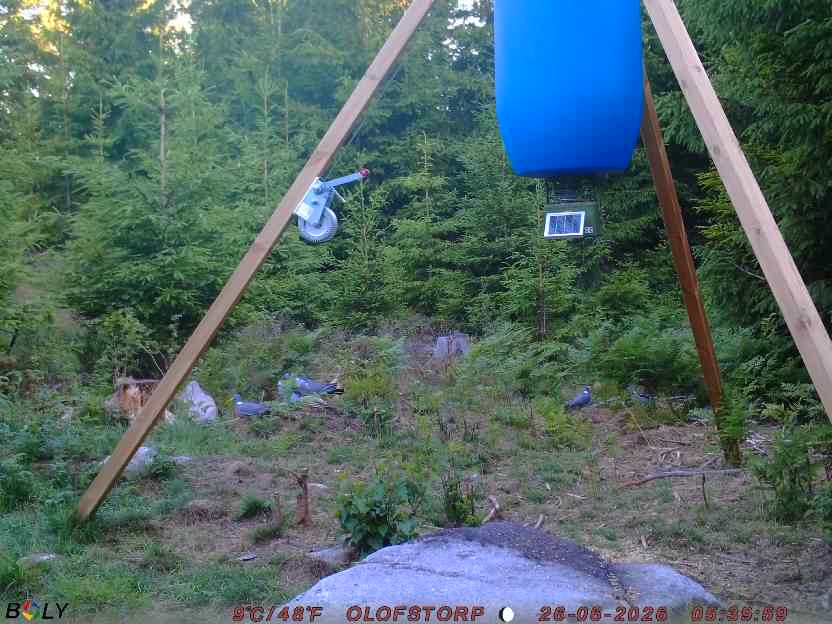 Bild från OLOFSTORP