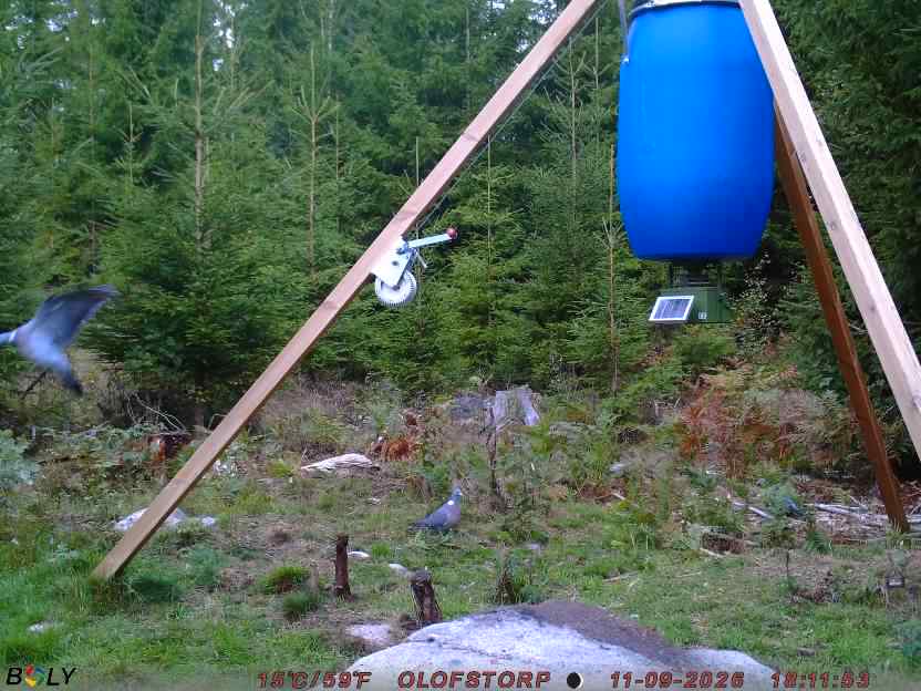Bild från OLOFSTORP