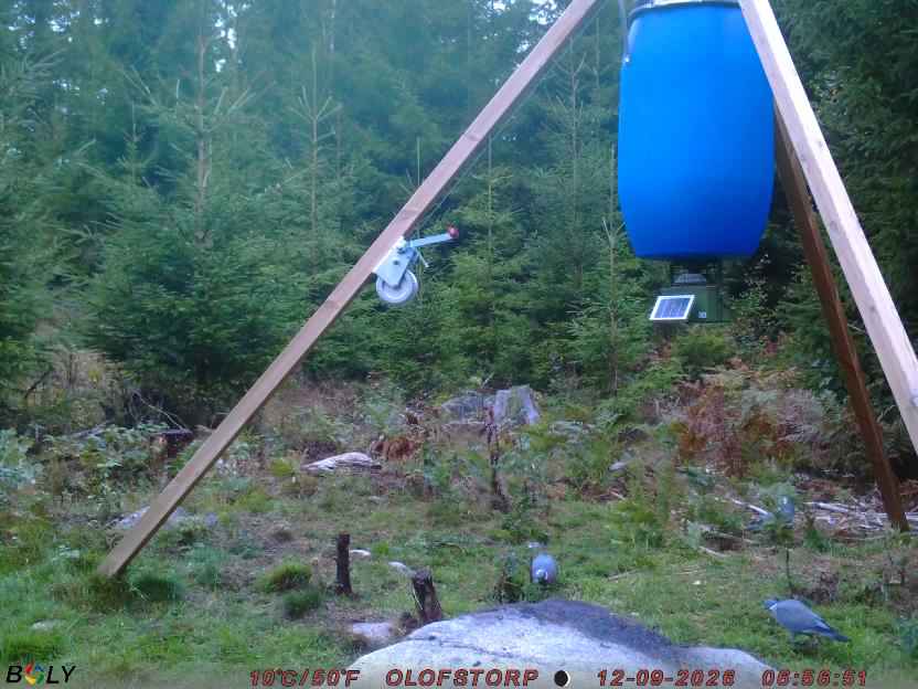 Bild från OLOFSTORP