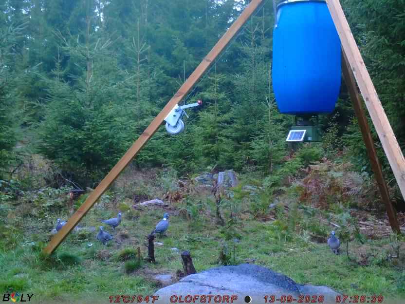 Bild från OLOFSTORP