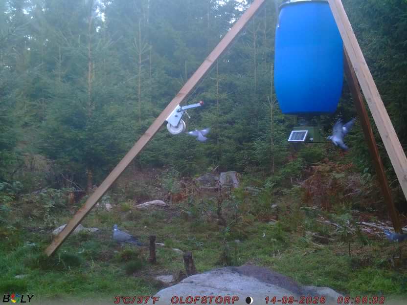 Bild från OLOFSTORP