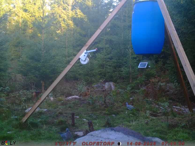 Bild från OLOFSTORP