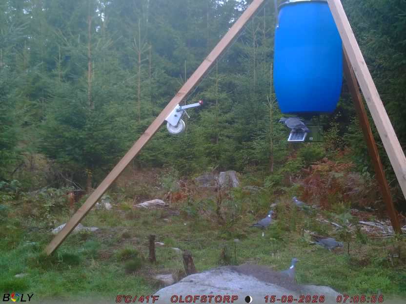 Bild från OLOFSTORP