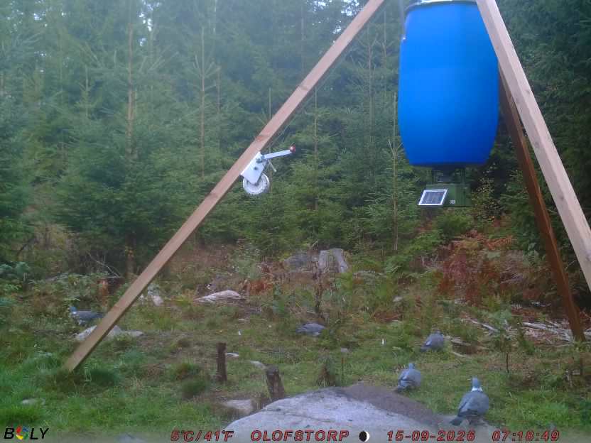 Bild från OLOFSTORP