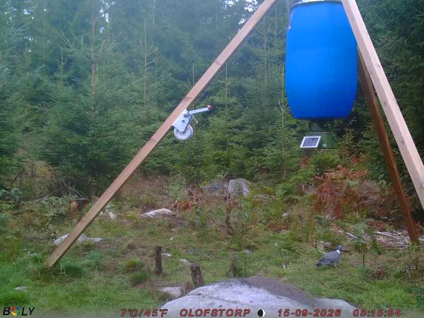 Bild från OLOFSTORP