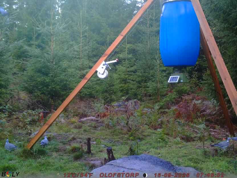 Bild från OLOFSTORP