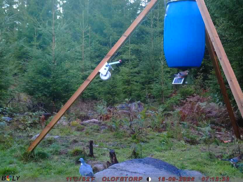 Bild från OLOFSTORP