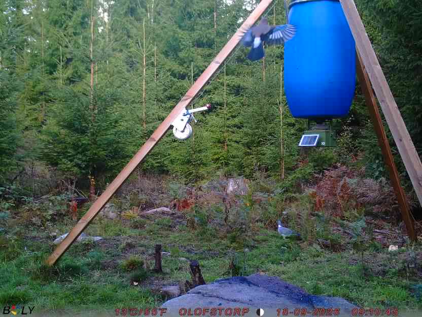 Bild från OLOFSTORP