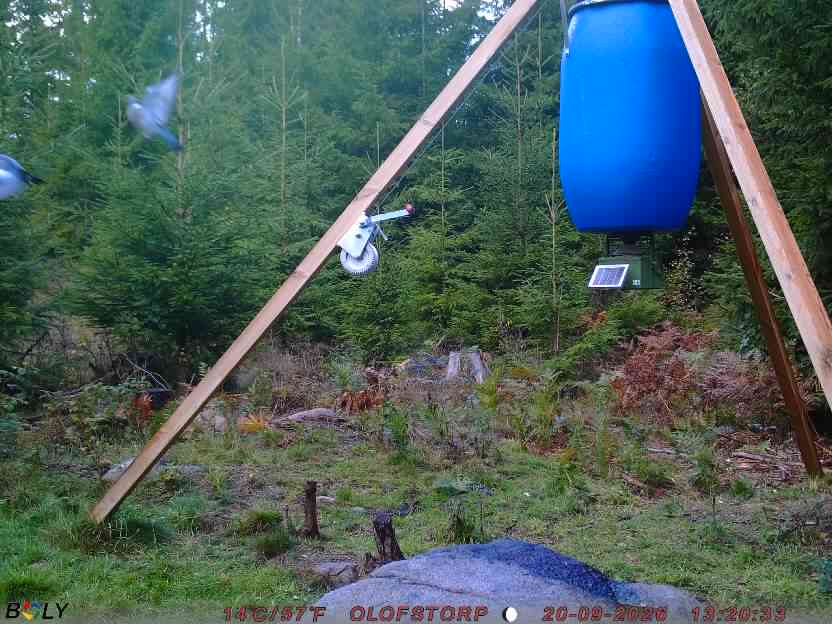Bild från OLOFSTORP