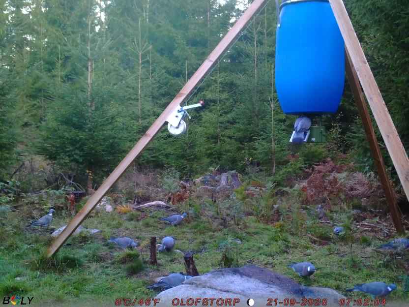 Bild från OLOFSTORP