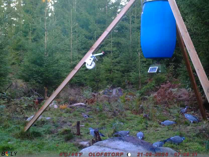 Bild från OLOFSTORP