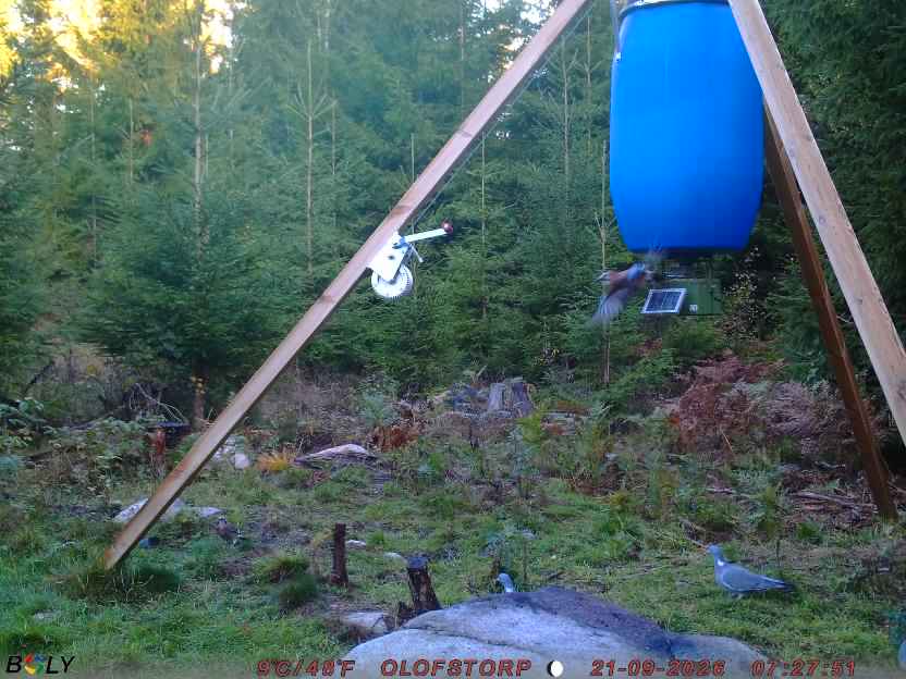 Bild från OLOFSTORP