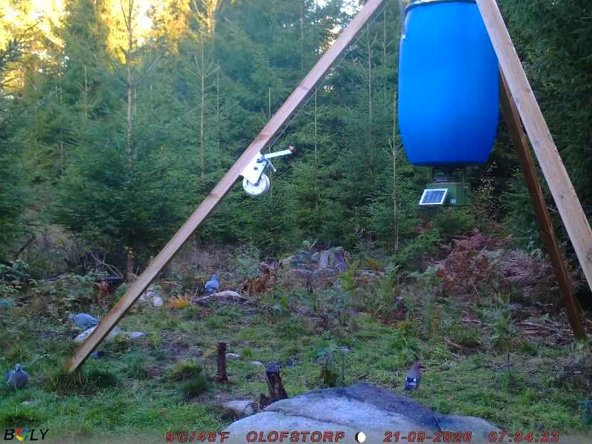 Bild från OLOFSTORP