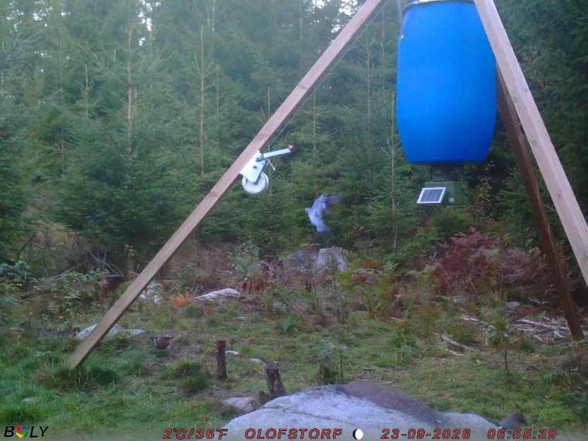 Bild från OLOFSTORP