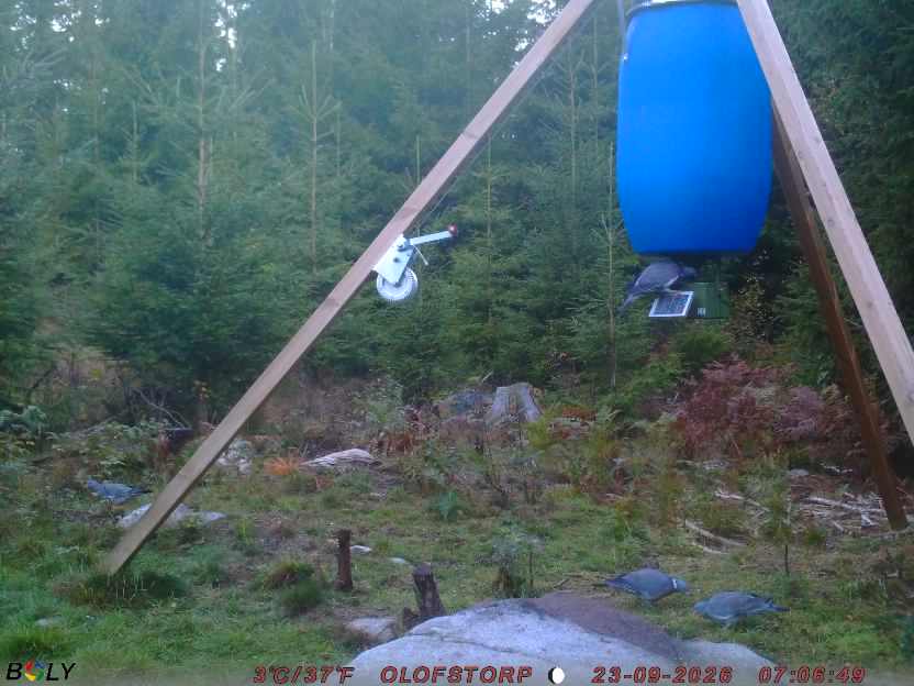 Bild från OLOFSTORP