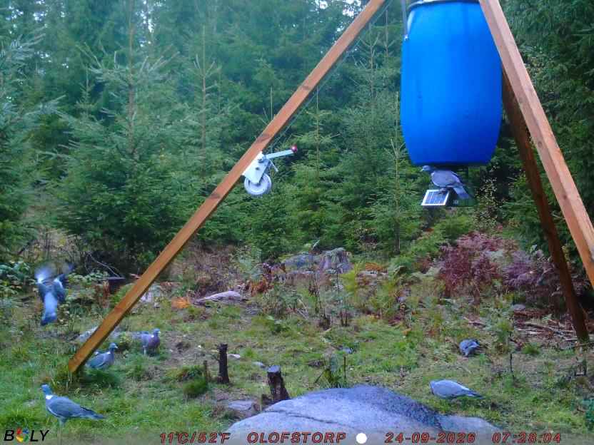 Bild från OLOFSTORP