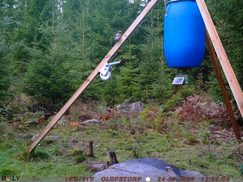 Bild från OLOFSTORP