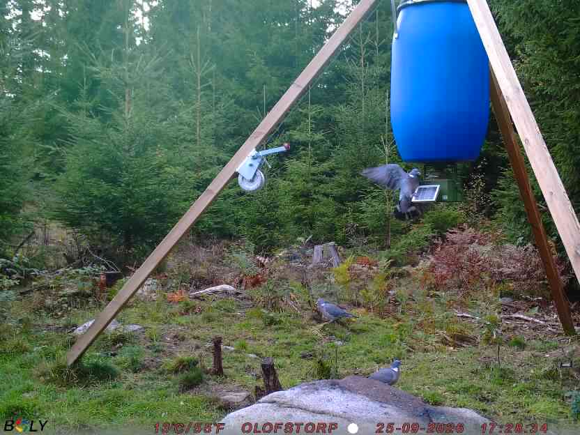 Bild från OLOFSTORP