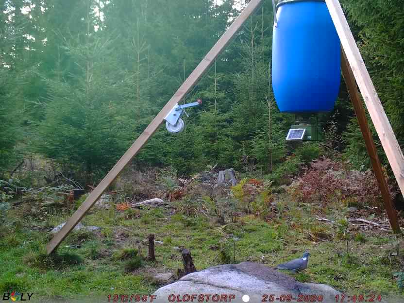 Bild från OLOFSTORP