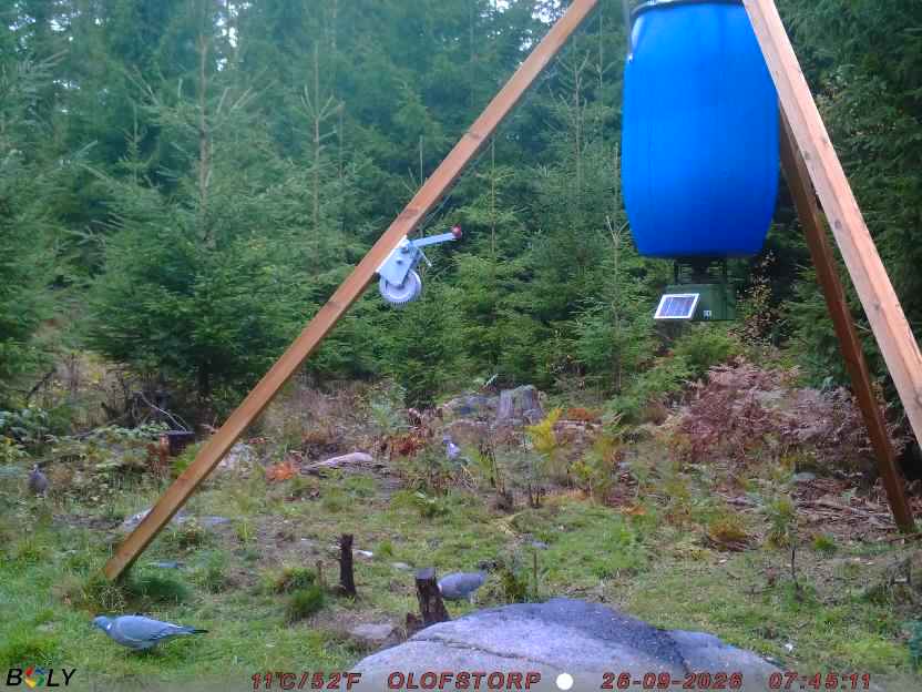 Bild från OLOFSTORP