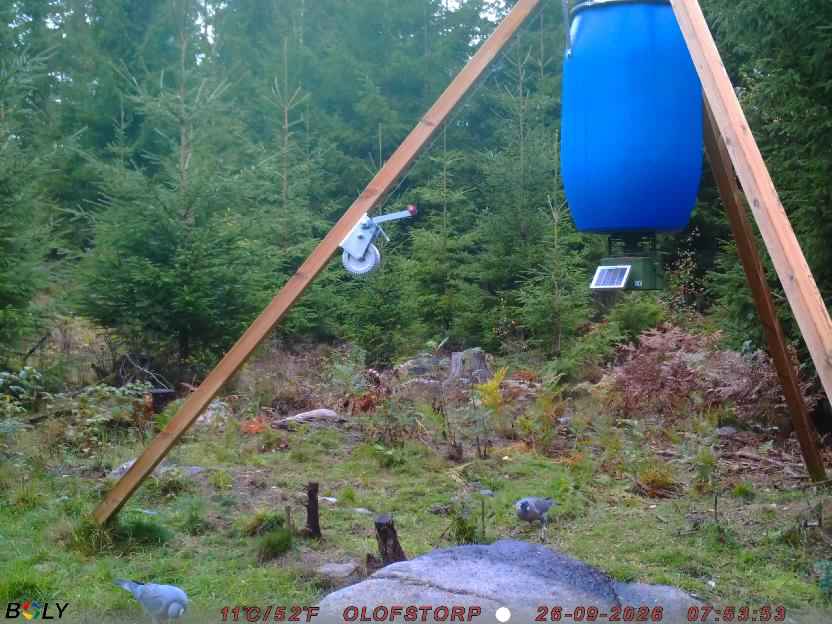 Bild från OLOFSTORP