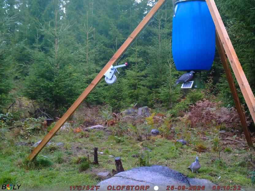 Bild från OLOFSTORP