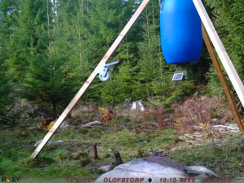 Bild från OLOFSTORP