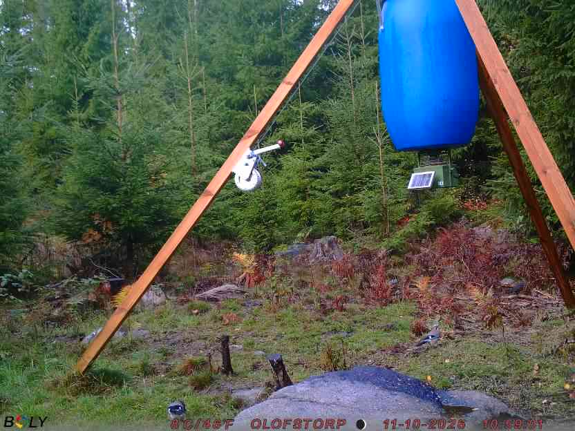 Bild från OLOFSTORP