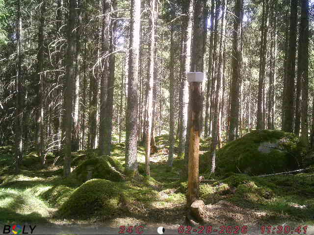Bild från SALTSTENEKENÄS