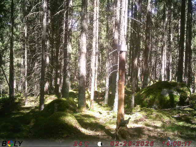 Bild från SALTSTENEKENÄS