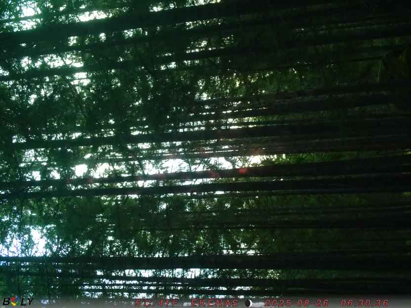 Bild från EKENÄSSALTSTEN