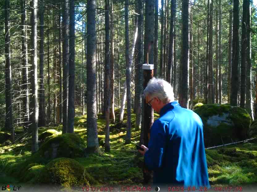 Bild från EKENÄSSALTSTEN