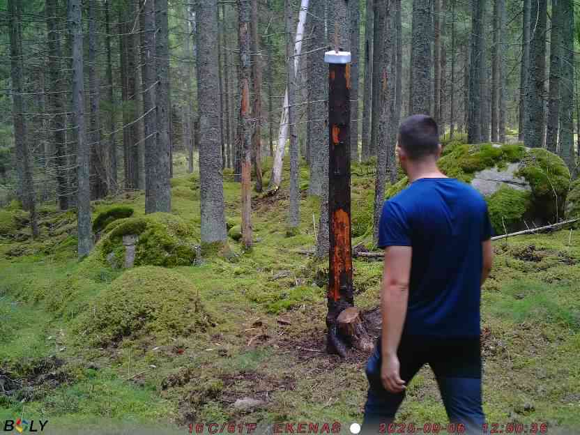 Bild från EKENÄSSALTSTEN