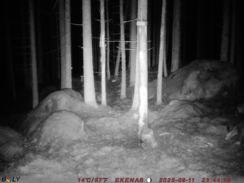 Bild från EKENÄSSALTSTEN