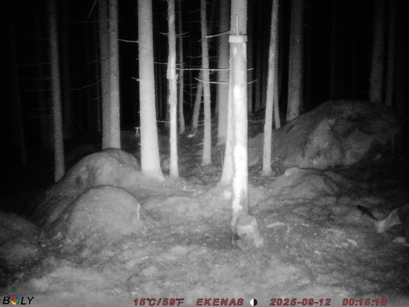 Bild från EKENÄSSALTSTEN