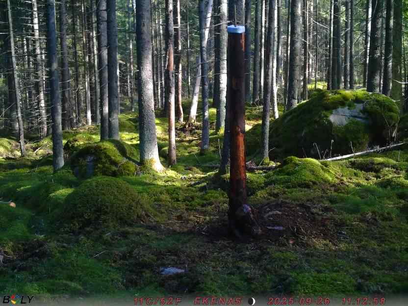 Bild från EKENÄSSALTSTEN