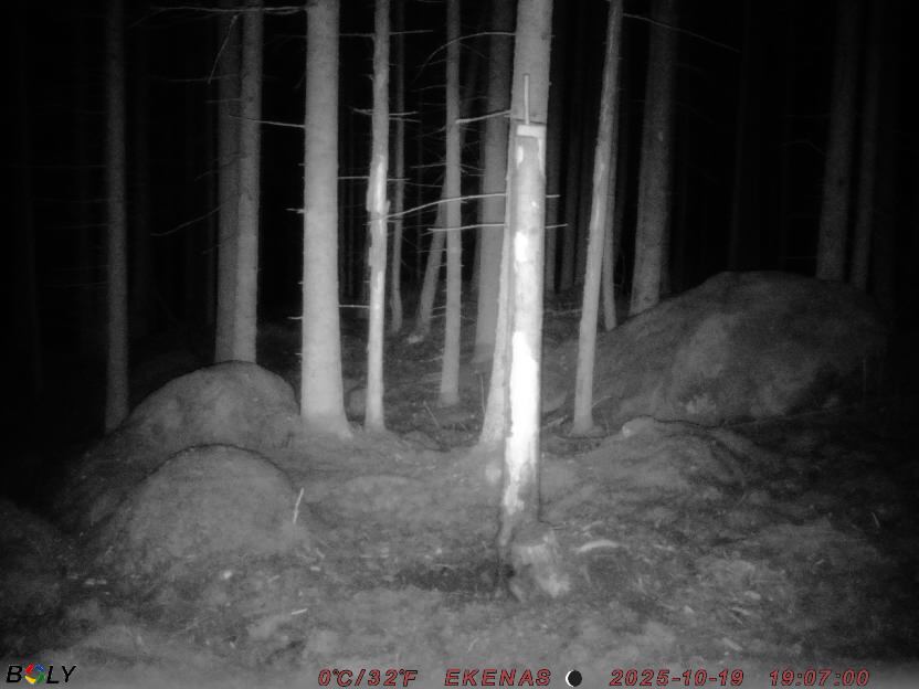 Bild från EKENÄSSALTSTEN