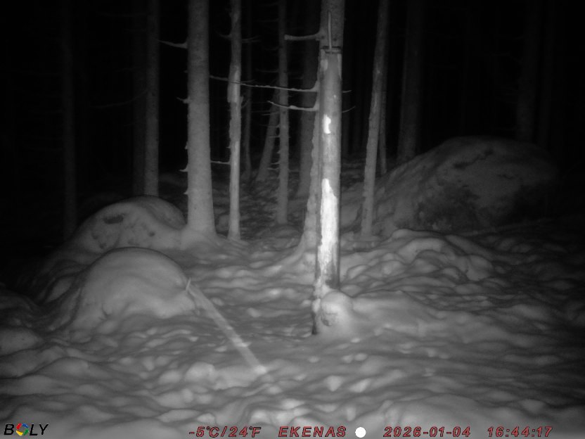 Bild från EKENÄSSALTSTEN