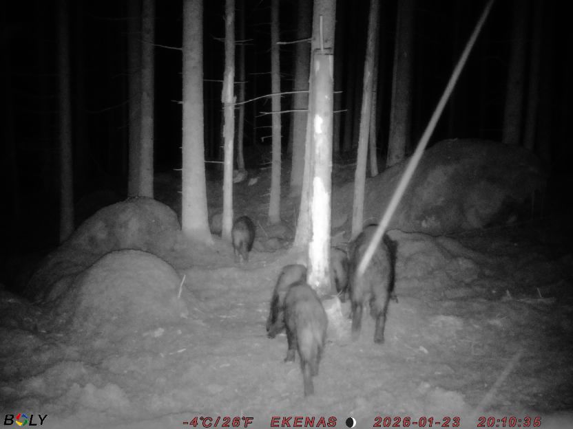 Bild från EKENÄSSALTSTEN