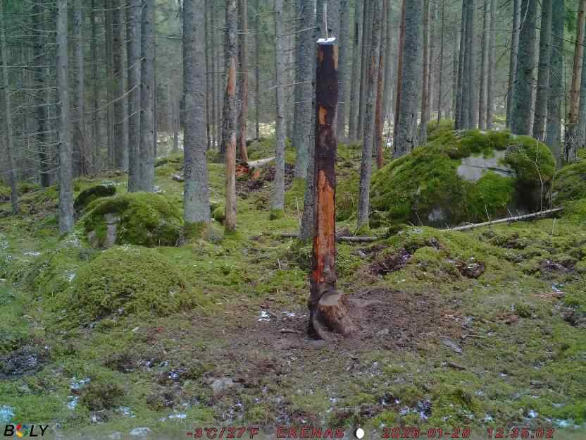 Bild från EKENÄSSALTSTEN