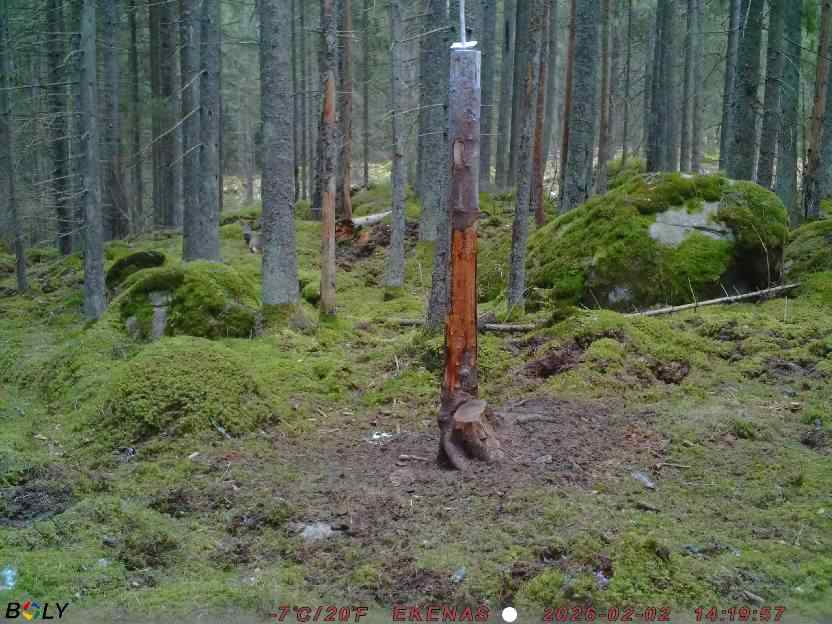 Bild från EKENÄSSALTSTEN