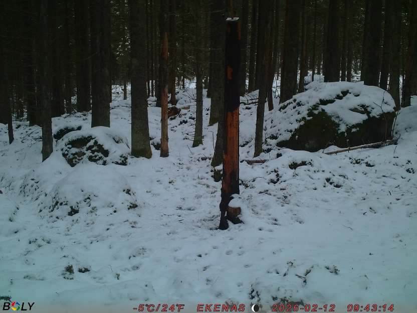 Bild från EKENÄSSALTSTEN