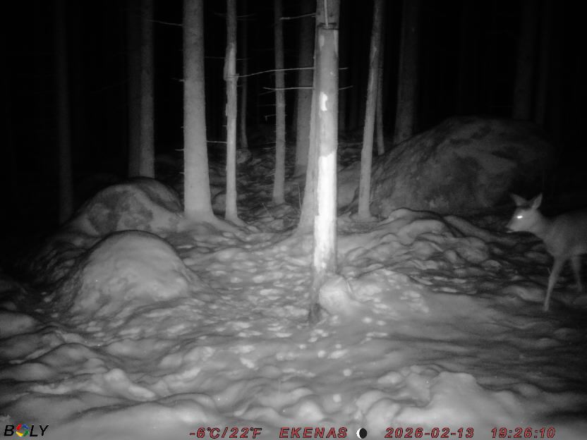 Bild från EKENÄSSALTSTEN