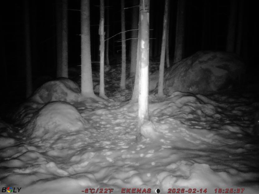 Bild från EKENÄSSALTSTEN